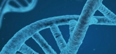 WGS pod lupą – co warto wiedzieć o tej technologii?