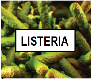 Nowy limit Listeria - nieobecna w 25g 