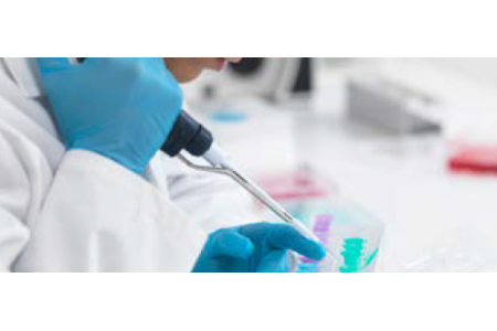Technika PCR precyzja i szybkość w wykrywaniu Listeria monocytogenes