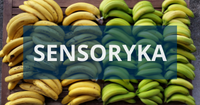 Akademia Sensoryczna - warsztaty kalibracji sensorycznej w praktyce