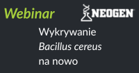 Wykrywanie Bacillus cereus na nowo: innowacyjne rozwiązanie na dzisiejsze wyzwanie
